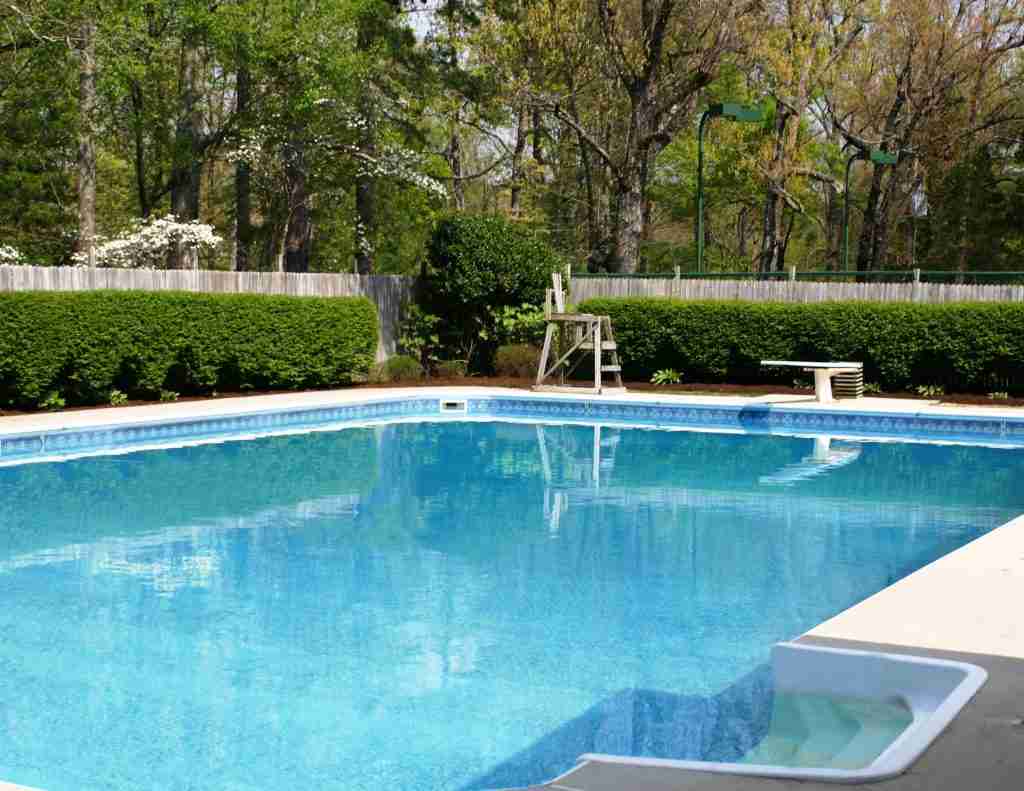 The Riverview swimming pool surrounded by trees