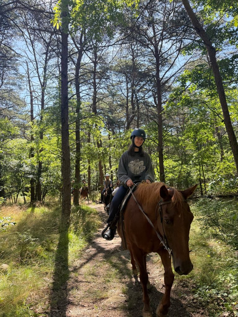 A camper on a trail ride through the woods