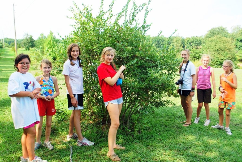 A nature exploration class outdoors